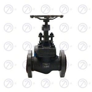 Forged Steel Flange Globe Valve 150LB