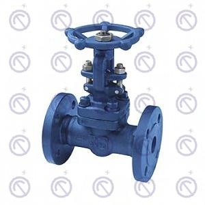 Z41Y-40I forged steel gate valve