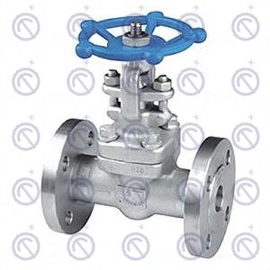 Z41Y-25 Forged steel – gate valve