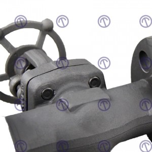 Forged steel Flange Gate Valves 1500LB