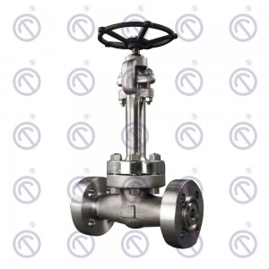 Cryogenic Gate Valves/Globe Valve