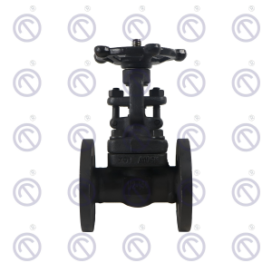 Forged steel Flange Gate Valve 150LB