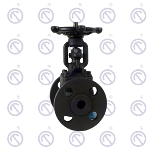 Forged steel Flange Gate Valve 150LB