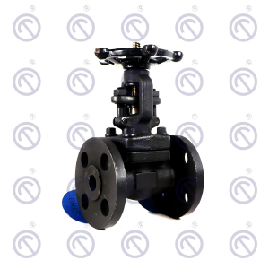 Forged steel Flange Gate Valve 150LB