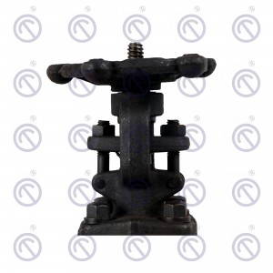 Forged steel gate valve(NPT)
