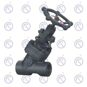 Y Type Globe Valves