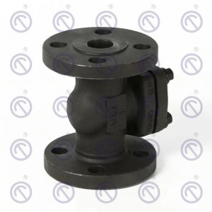 Forged Steel Flange Check Valves